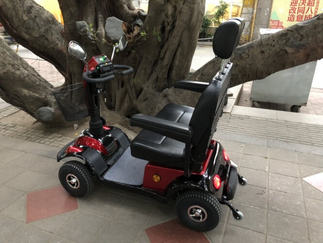 雙人電動代步車 雙人電動代步車